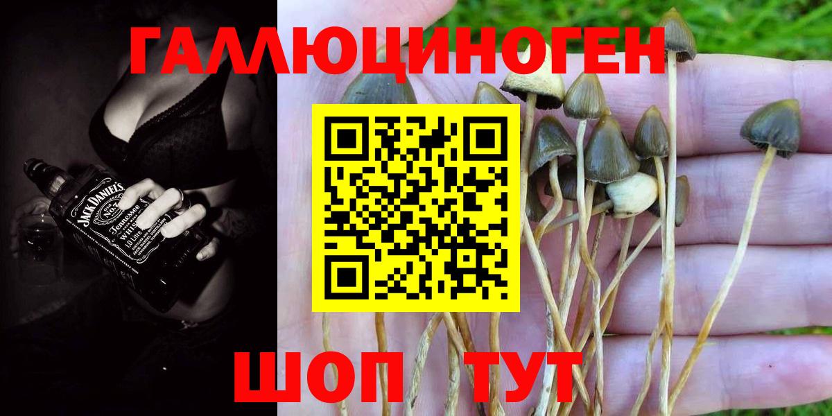 купить наркоту  Псилоцибиновые грибы прущие грибы  Вход с VPN  Нижнеудинск 